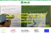 CDRU na Floresta Estadual de Maues : definir regras de acesso e uso dos recursos florestais Elenis Assis – Jean François Kibler Manaus - Abril de 2007.