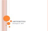 ARTERITES Patologia II - 2012. C ONCEITO Considerações para o conceito  Angiite, vasculite, arterite.  Primárias (verdadeiras)  Secundárias Causas.