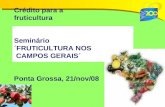 Crédito para a fruticultura Seminário ´FRUTICULTURA NOS CAMPOS GERAIS´ Ponta Grossa, 21/nov/08.