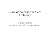 Simulação numérica em Ambiente Manuel Costa manuel.costa@ydreams.com.