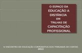 O ESPAÇO DA EDUCAÇÃO A DISTÂNCIA EM TRILHAS DE CAPACITAÇÃO PROFISSIONAL.