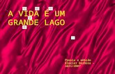 A VIDA É UM GRANDE LAGO Poesia e edição Elazier Barbosa – abri/2007.