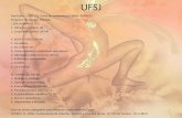 UFSJ Inscrições- 1 a 24 /11 Prova de conhecimento geral- 04/06/11 Programa de provas - Filosofia I. SER HUMANO 1. Natureza e cultura ok 2. Corpo e psiquismo.