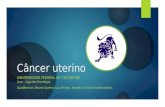 Câncer uterino UNIVERSIDADE FEDERAL DO TOCANTINS Lion – Liga de Oncologia Acadêmicos: Bruno Queiroz Luz Hirano, Frederico Vilarinho Bernardes.