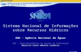 ANA - Agência Nacional de Águas Sistema Nacional de Informações sobre Recursos Hídricos SGI – Superintendência de Gestão da Informação Maurício Cezar Rebello.