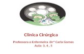 Clinica Cirúrgica Professora e Enfermeira :Drª Carla Gomes Aula: 3, 4, 5.