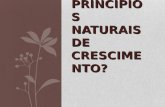 PRINCÍPIOS NATURAIS DE CRESCIMEN TO?. 1. O que é o Desenvolvimento Natural da Igreja (DNI)? As leis do crescimento orgânico: Muitos conceitos de crescimento.