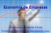 Economia de Empresas Professor: Roberto César Professorrobertocesar.wordpress.com.
