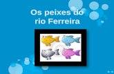 Era uma vez… dois peixes que viviam no Rio Ferreira, em Arreigada, que fica em Paços de Ferreira. O Prata, vivia antes da ETAR; a Pinkie, vivia logo depois.