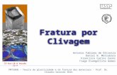 PMT5860 – Teoria da plasticidade e da fratura dos materiais - Prof. Dr. Cláudio Geraldo Shön Fratura por Clivagem Antonio Fabiano de Oliveira Daniel B.