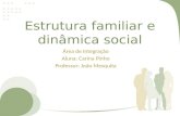 Estrutura familiar e dinâmica social Área de Integração Aluna: Carina Pinho Professor: João Mesquita.