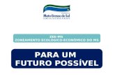 ZEE-MS ZONEAMENTO ECOLÓGICO-ECONÔMICO DO MS PARA UM FUTURO POSSÍVEL.