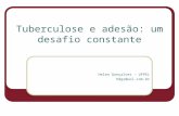Tuberculose e adesão: um desafio constante Helen Gonçalves – UFPEL hdgs@uol.com.br.