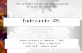 Indexando XML Banco de Dados e Internet - 2004 Professor: Cláudio Baptista Mestrando: Rômulo Nunes Universidade Federal de Campina Grande Mestrado em Informática.