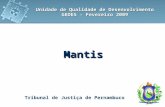 Tribunal de Justi ç a de Pernambuco Unidade de Qualidade de Desenvolvimento GEDES - Fevereiro 2009 Mantis.