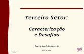 Graziella Maria Comini T erceiro Setor: Caracterização e Desafios Graziellac@fia.com.br Maio de 2007.