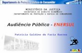 MINISTÉRIO DA JUSTIÇA SECRETARIA DE DIREITO ECONÔMICO DEPARTAMENTO DE PROTEÇÃO E DEFESA DO CONSUMIDOR Audiência Pública - ENERSUL Patrícia Galdino de Faria.
