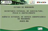 ESTADO DO MARANHÃO SECRETARIA ESTADUAL DE AGRICULTURA, PESCA E ABATECIMENTO AGÊNCIA ESTADUAL DE DEFESA AGROPECUÁRIA DO MARANHÃO AGED-MA.