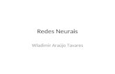 Redes Neurais Wladimir Araújo Tavares. Características Degradação progressiva e qualidade. Significa que a performance de um sistema baseado em rede neural.