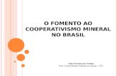 O FOMENTO AO COOPERATIVISMO MINERAL NO B RASIL Alan Ferreira de Freitas Prof. Universidade Federal de Viçosa - UFV.