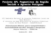 Projeto APL Pegmatitos da Região Seridó e Agreste Potiguar Goiânia/GO – 2010 VII Seminário Nacional de Arranjos Produtivos Locais de Base Mineral e 4º.