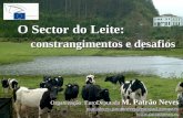 O Sector do Leite: constrangimentos e desafios Organização: EuroDeputada M. Patrão Neves mariadoceu.patraoneves@europarl.europa.eu .