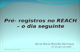 Pré- registros no REACH – o dia seguinte Nicia Maria Mourão Henrique 07 de abril de 2009 MH Cursos Gerenciais/abril 2009.