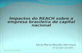 Nicia Maria Mourão Henrique 07 de abril de 2009 MH Cursos Gerenciais/abril 2009 Impactos do REACH sobre a empresa brasileira de capital nacional.