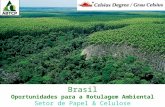 Brasil Oportunidades para a Rotulagem Ambiental Setor de Papel & Celulose.