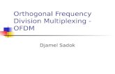 Orthogonal Frequency Division Multiplexing - OFDM Djamel Sadok.