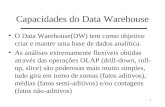1 Capacidades do Data Warehouse O Data Warehouse(DW) tem como objetivo criar e manter uma base de dados analítica. As análises extremamente flexíveis obtidas.