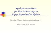 Resolução de Problemas por Meio de Busca Cega no Espaço Extensional de Hipótese Disciplina: Métodos de Computação Inteligente – 1 Aluno: André Felipe Santana.