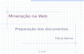 CIn-UFPE1 Mineração na Web Preparação dos documentos Flávia Barros.