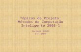 Tópicos de Projeto: Métodos de Computação Inteligente 2003-1 Jacques Robin CIn-UFPE.