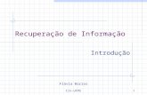 Flávia Barros CIn-UFPE 1 Recuperação de Informação Introdução.