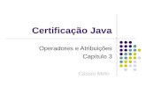 Certificação Java Operadores e Atribuições Capítulo 3 Cássio Melo.