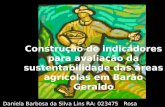 Construção de indicadores para avaliação da sustentabilidade das áreas agrícolas em Barão Geraldo Daniela Barbosa da Silva Lins RA: 023475 Rosa Aparecida.