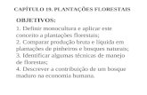 CAPÍTULO 19. PLANTAÇÕES FLORESTAIS OBJETIVOS: 1. Definir monocultura e aplicar este conceito a plantações florestais; 2. Comparar produção bruta e líquida.