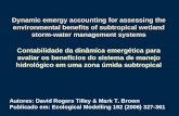 1 Autores: David Rogers Tilley & Mark T. Brown Publicado em: Ecological Modelling 192 (2006) 327-361 Dynamic emergy accounting for assessing the environmental.