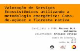 Candidato a PhD: Marcos D.B. Watanabe Orientador: Enrique Ortega Curso de Extensão, LEIA Julho de 2011 Valoração de Serviços Ecossistêmicos utilizando.
