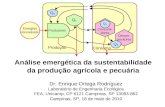 Dr. Enrique Ortega Rodríguez Laboratório de Engenharia Ecológica FEA, Unicamp, CP 6121 Campinas, SP 13083-862 Campinas, SP, 18 de maio de 2010 Análise.