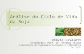 Análise do Ciclo de Vida da Soja Otávio Cavalett Orientador: Prof. Dr. Enrique Ortega Laboratório de Engenharia Ecológica e Informática Aplicada.
