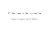 Protocolos de Recuperação Márcio Augusto Sekeff Sallem.