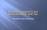 Ricardo Pires Calciolari. 1 – Parafiscalidade 2 – Solidariedade 3 - Referibilidade 4 – Destinação específica Conclusão: regime jurídico tributário e natureza.