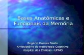 Bases Anatômicas e Funcionais da Memória Rogério Gomes Beato Ambulatório de Neurologia Cognitiva Hospital das Clínicas - UFMG.