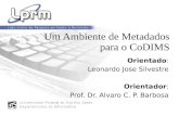 Um Ambiente de Metadados para o CoDIMS Orientado: Leonardo Jose Silvestre Orientador: Prof. Dr. Alvaro C. P. Barbosa.