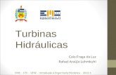 Turbinas Hidráulicas Caio Fraga da Luz Rafael Araújo Lehmkuhl EMC – CTC – UFSC – Introdução à Engenharia Mecânica – 2012-1.