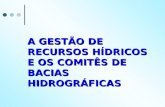 A GESTÃO DE RECURSOS HÍDRICOS E OS COMITÊS DE BACIAS HIDROGRÁFICAS.