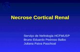 Necrose Cortical Renal Serviço de Nefrologia HCFMUSP Bruno Eduardo Pedroso Balbo Juliana Paiva Paschoal.
