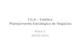 T.G.A – Estética Planejamento Estratégico de Negócios AULA 2 20/02/2014.